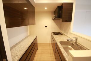 グランドメゾン元住吉ノーステラス 213号-3