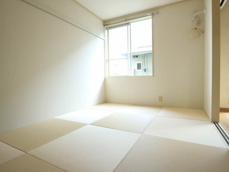 ラフィーネカズチャ 102号-4