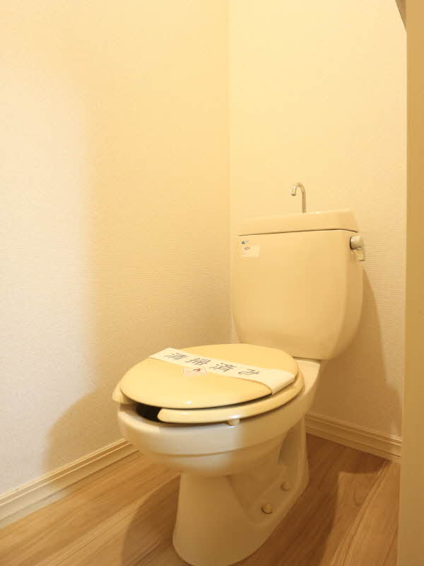 ラフィーネカズチャ 102号-11