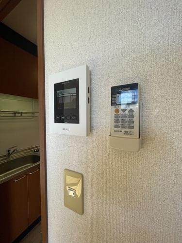 Ｒａｓｐｂｅｒｒｙ 202号-5