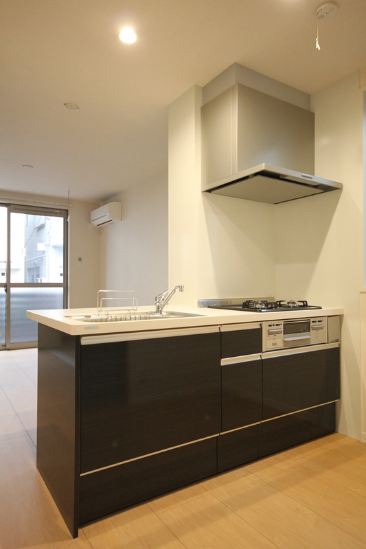 フラッツハマ 101号-4