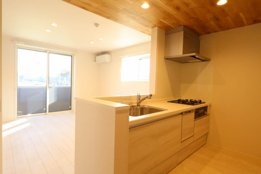 ヒルズスカイガーデン 101号-2