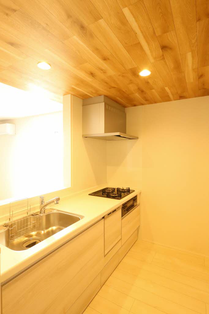 ヒルズスカイガーデン 101号-3