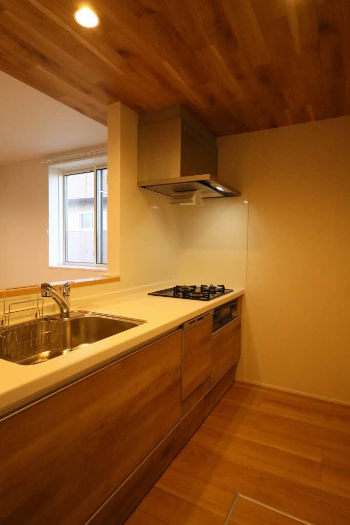 ヒルズスカイガーデン 102号-3