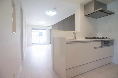 Ｆｅｌｉｓｅｅｄ 202号-4