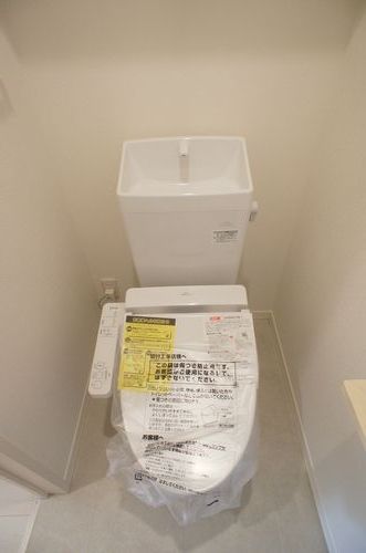 Ｆｅｌｉｓｅｅｄ 202号-11