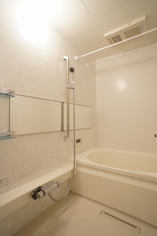 Ｆｅｌｉｓｅｅｄ 302号-9