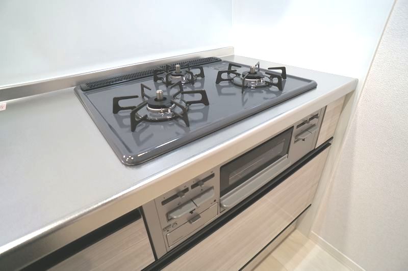 ラピス　イースト 201号-5