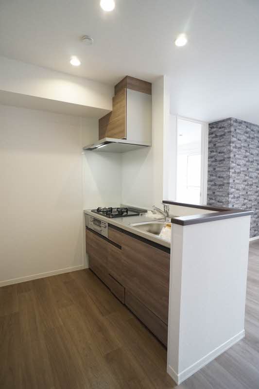 アシリア染 202号-5