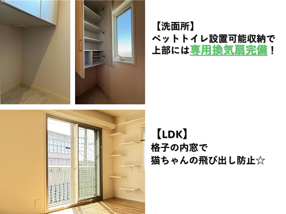 藤沢市西富二丁目戸建Ｂ 101号-5