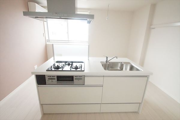 アルスノーヴァ 301号-4