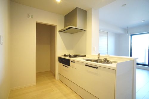 プラッツ長後 401号-4