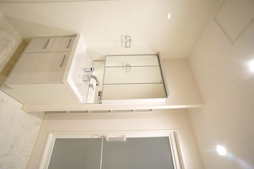 プラッツ長後 401号-11