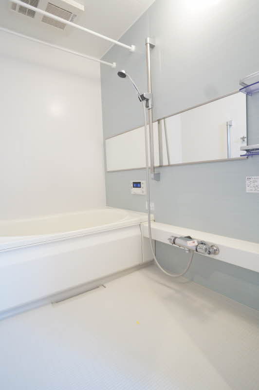 フリージアザマ 201号-9