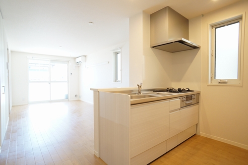 カルミア　Ｄ 101号-2