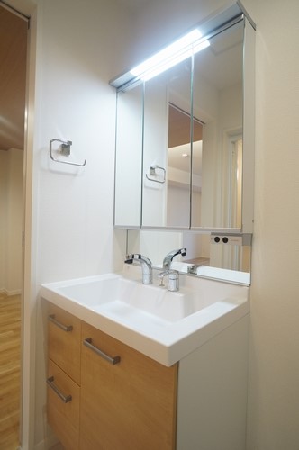 セレナ ヴィラ 303号-8