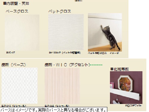 ヒメシャラ 101号-3