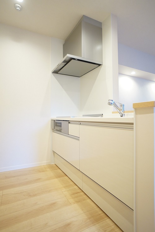 ステラメゾン中央林間 301号-5