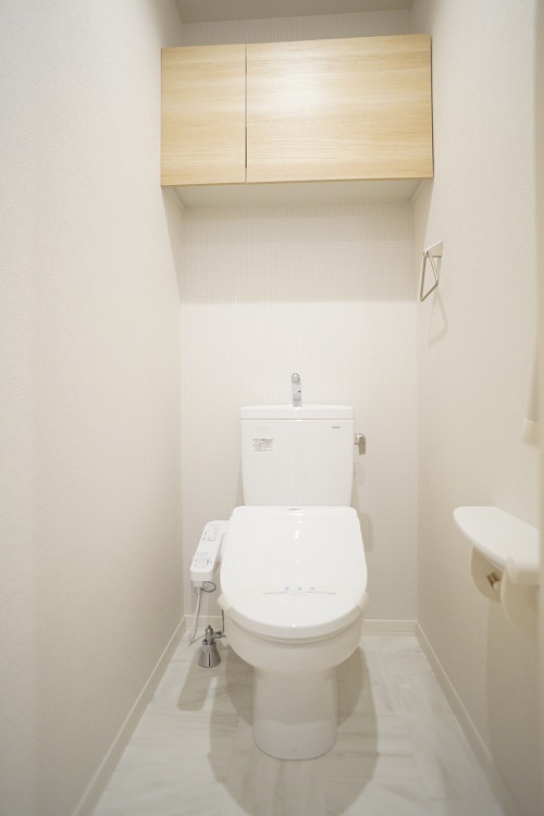 ステラメゾン中央林間 303号-6