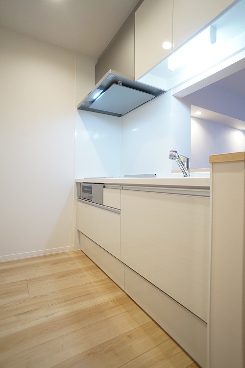 ステラメゾン中央林間 303号-9