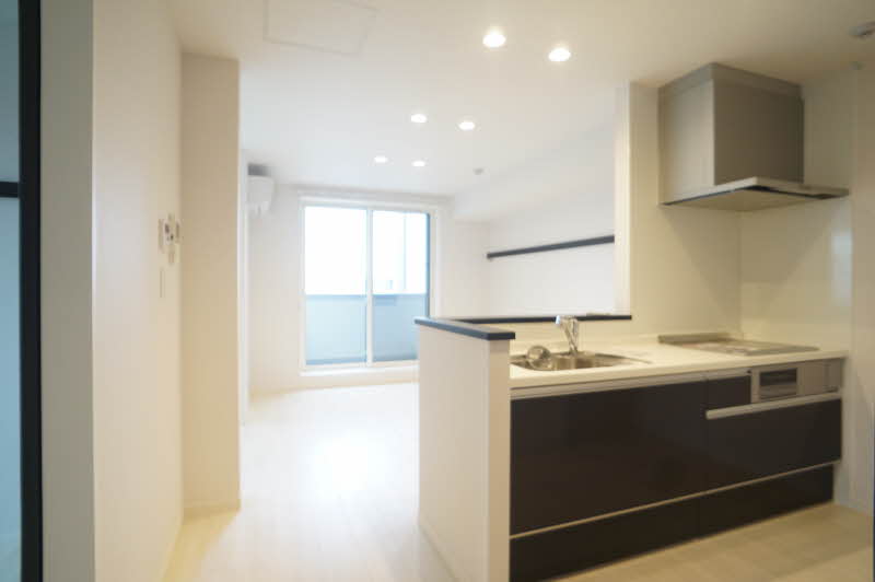 Ryuciel中央林間 310号-2