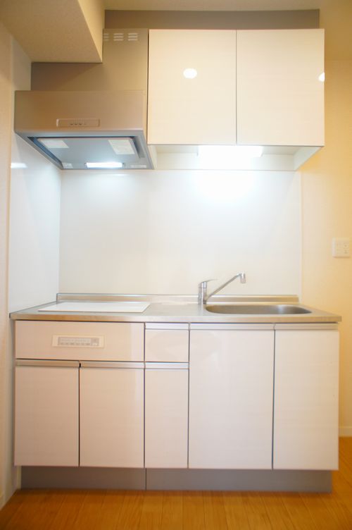 アリスティオ 302号-7