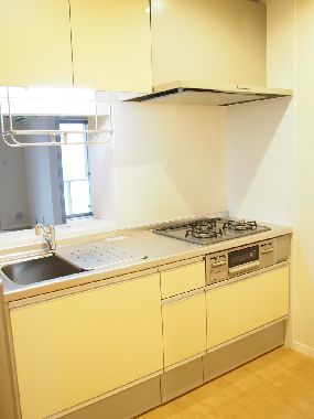 リバーサイドカーサ 103号-3