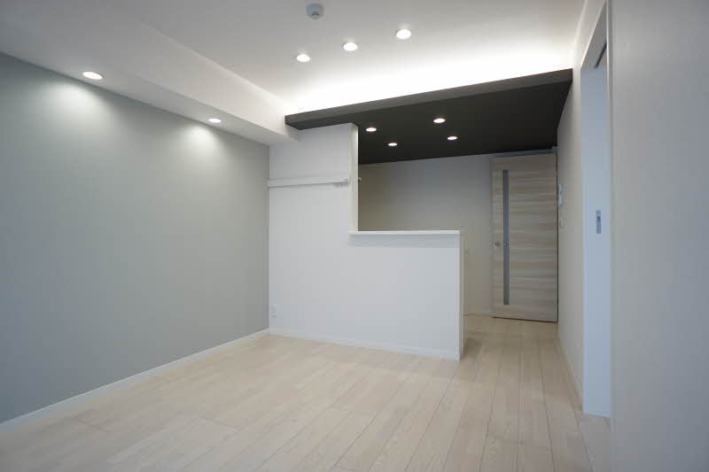 シャインフレア 102号-3