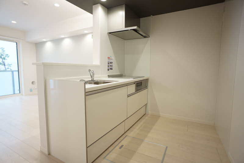 シャインフレア 102号-4