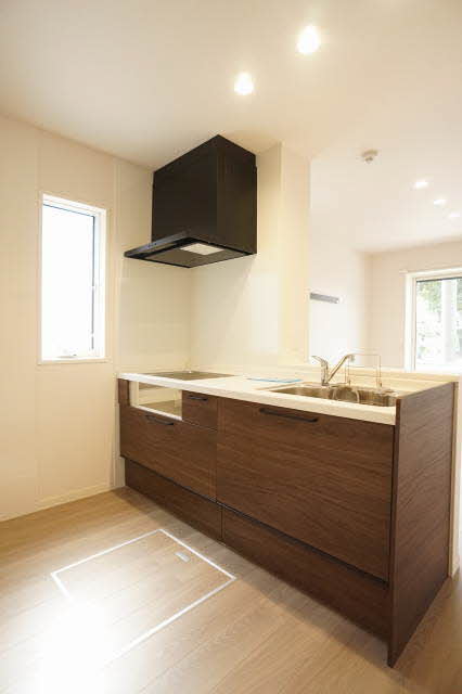 コリーナステラータ 101号-5