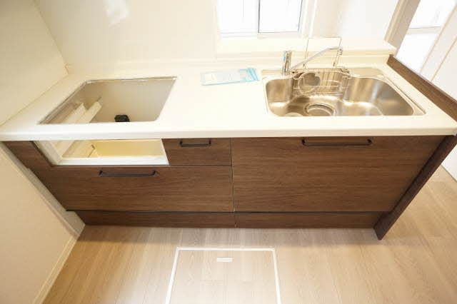 コリーナステラータ 101号-6