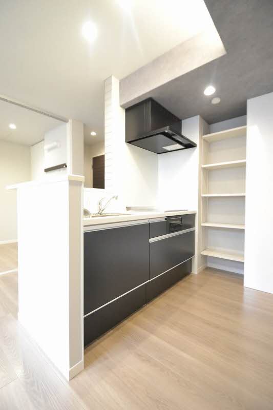 サン スプリング 203号-6