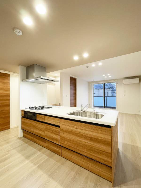 ヒュペリオン梶ヶ谷 205号-4