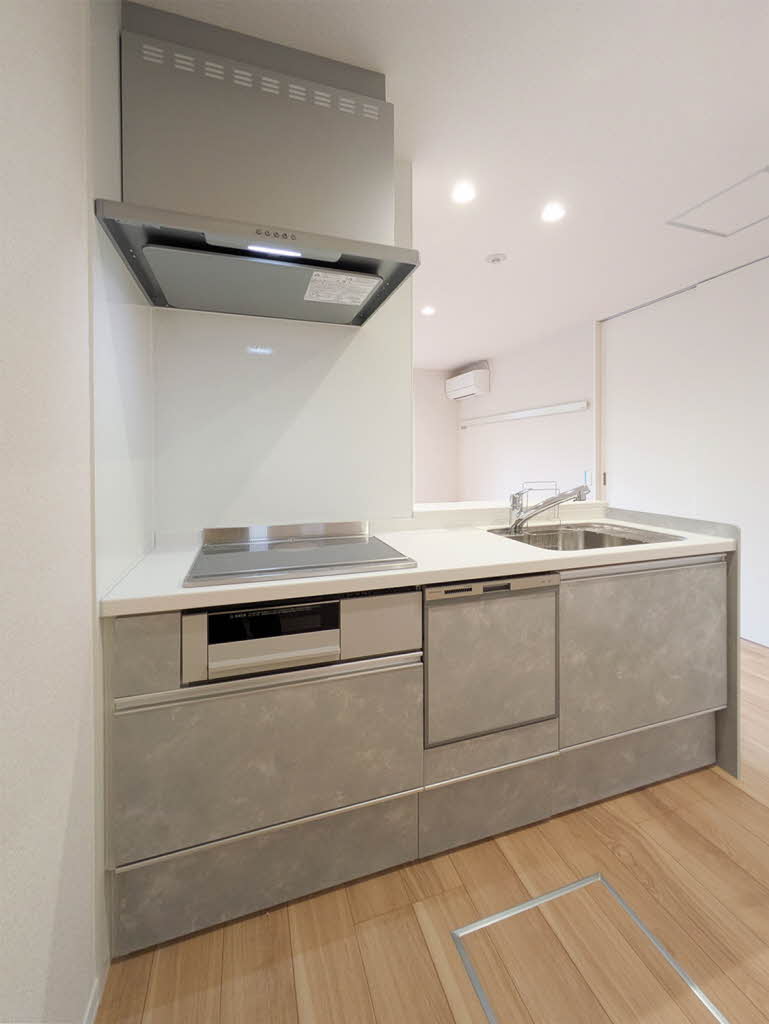 カーサレジオ新川崎 103号-10