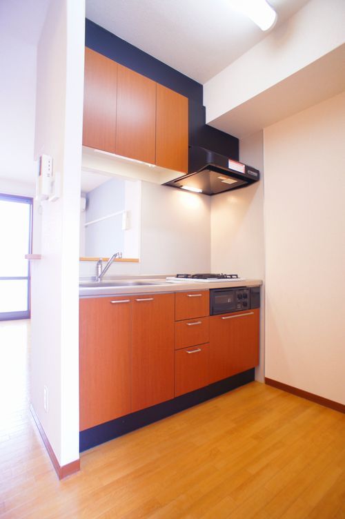 リープリングス・ハウス 102号-7