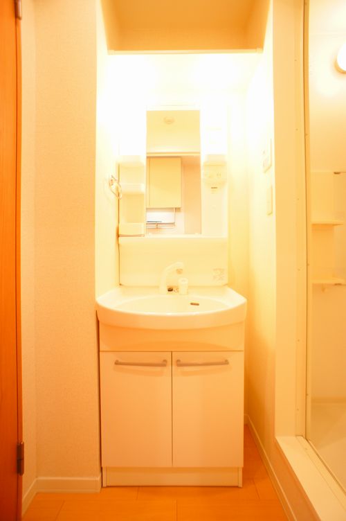 ＳＵＮ　ＬＥＡＶＥＳ　武蔵中原 205号-9