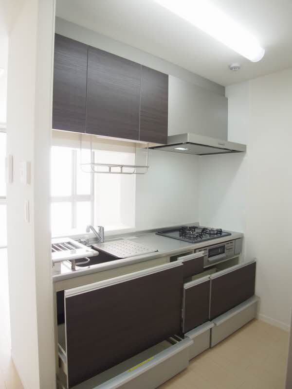 ラシーヌ中野島 301号-4