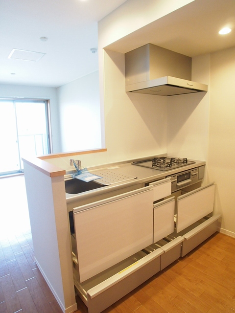 チェリーテラス武蔵新城 305号-6