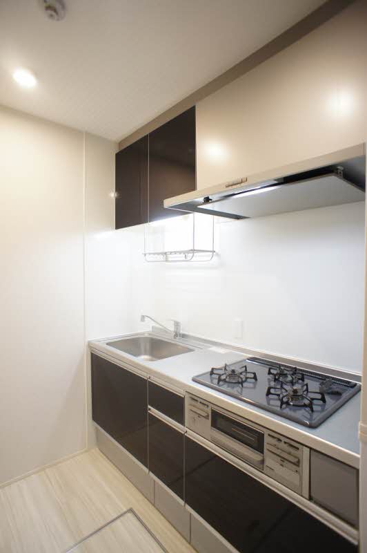 Ｐｌａｔａｎｕｓ 105号-7