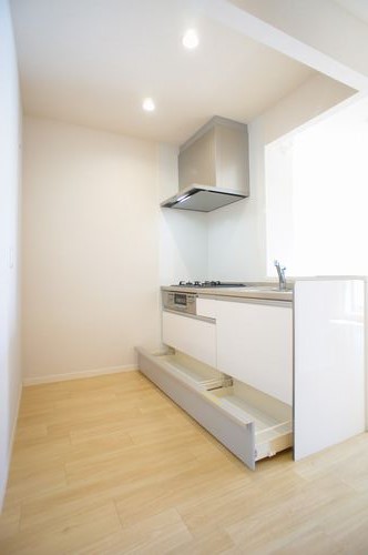 グランヴェール登戸 306号-4