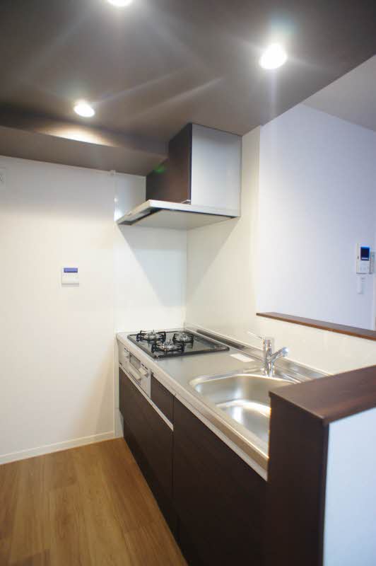 サティスビータ 305号-9