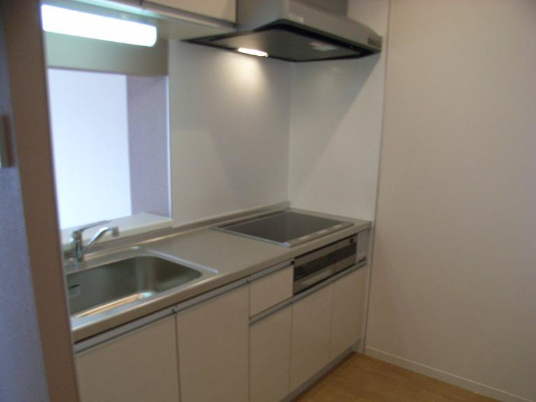 マストライフ川崎平間C 303号-9