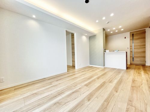 ゼフィール 102号-3