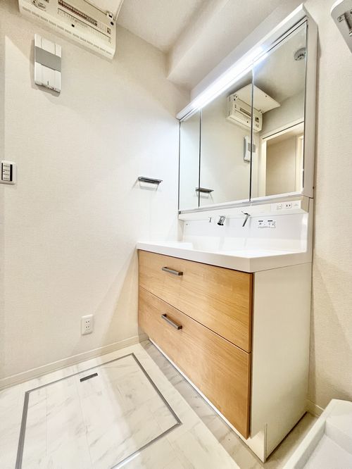 ゼフィール 102号-9