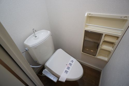 その他画像11