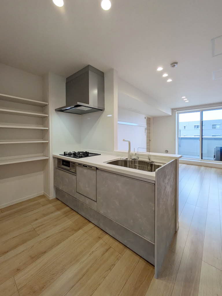 ブラッサムガーデン武蔵小杉 405号-8