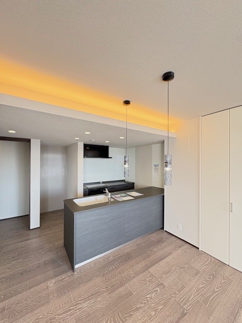 アウリスタ 205号-7