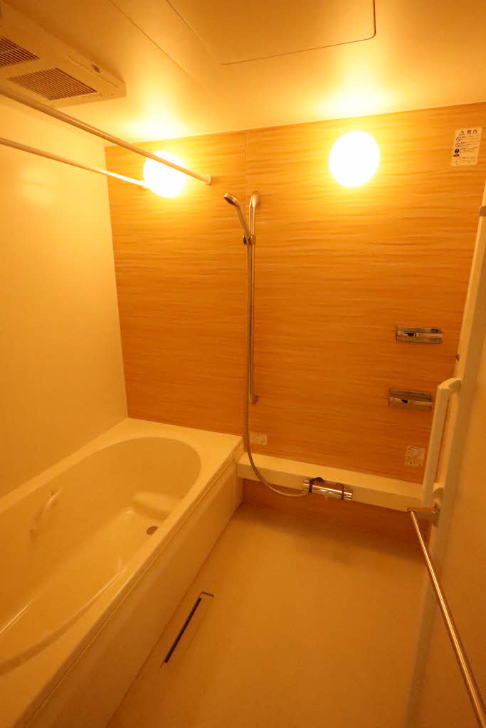 アスターミキ 202号-9