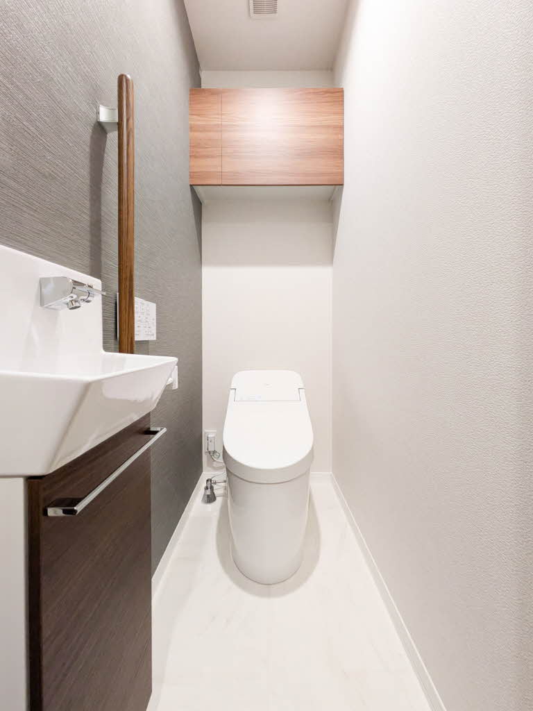 アンジュール新川崎 301号-10