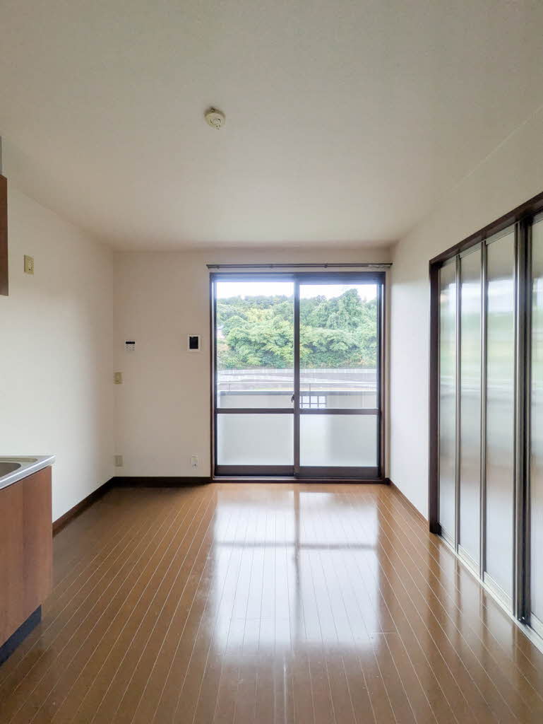 エバーグリーン 201号-5